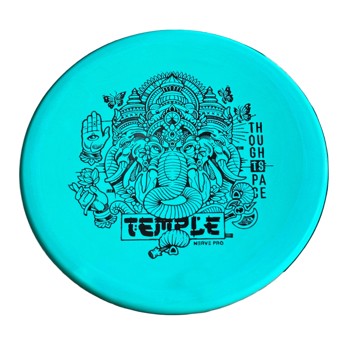 Temple in Nerve Pro Plastic
