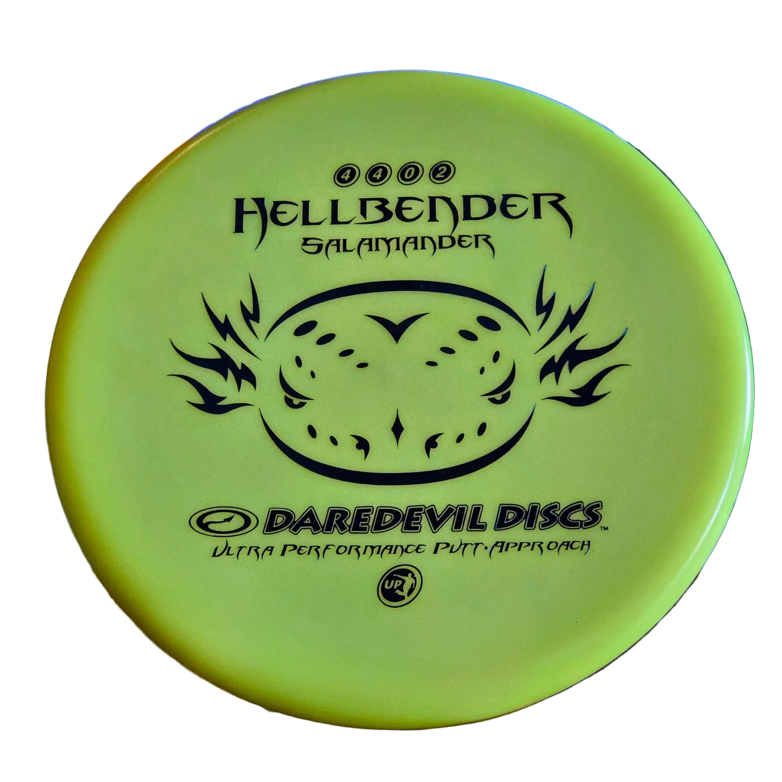 Hellbender Salamander